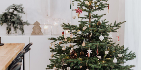 Slim Christmas Trees Perfect for DIY Holiday Magic