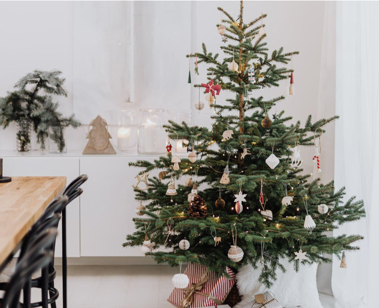 Slim Christmas Trees Perfect for DIY Holiday Magic